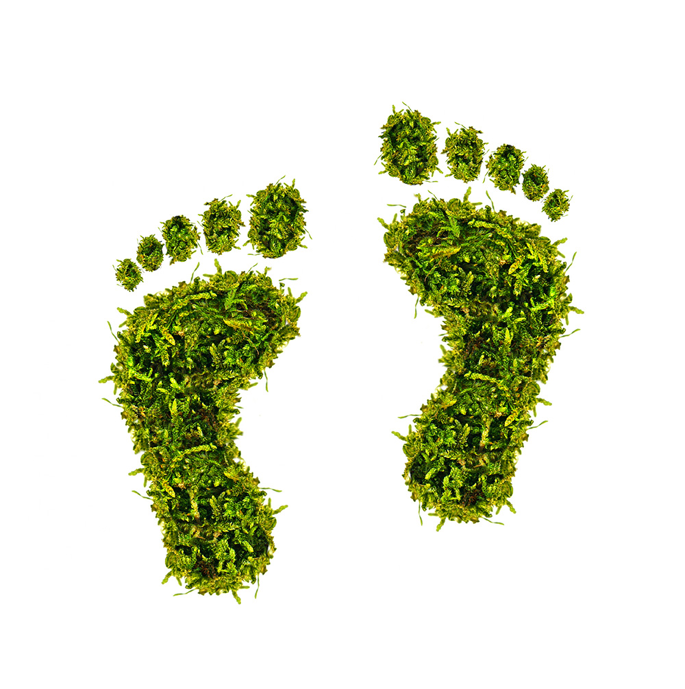Footprint