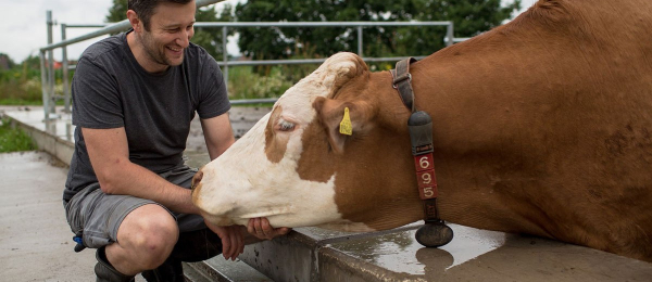 Stalltechnik zur Automatisierung für die Hofmolkerei der "ROSAKuh"