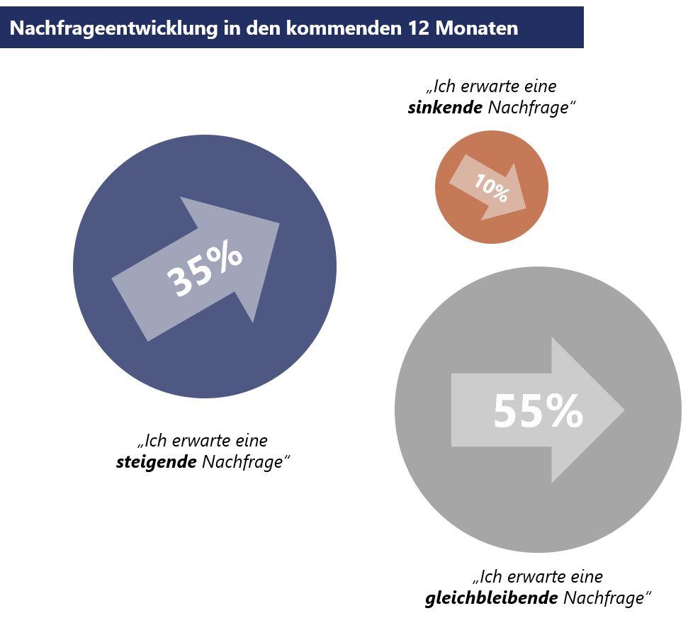 Steinbeis 2024 06 optimismus